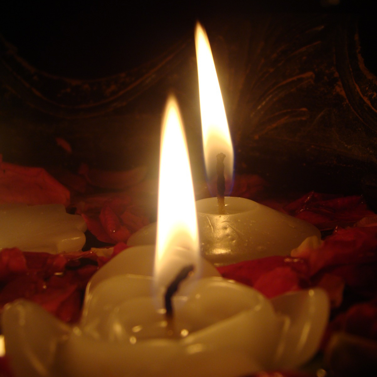 image_chamak