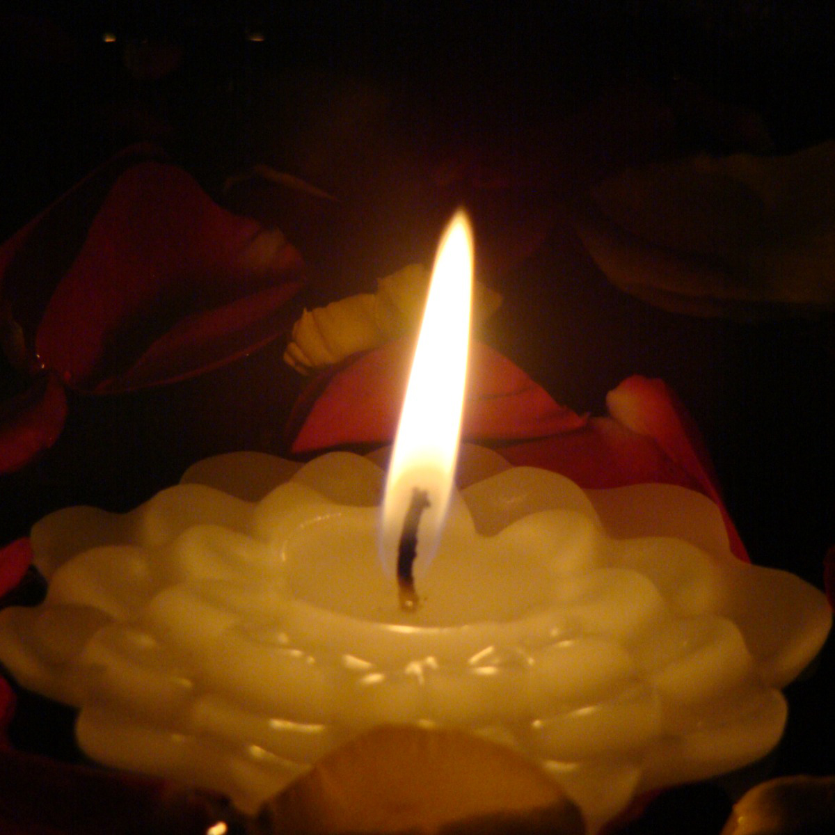 image_chamak