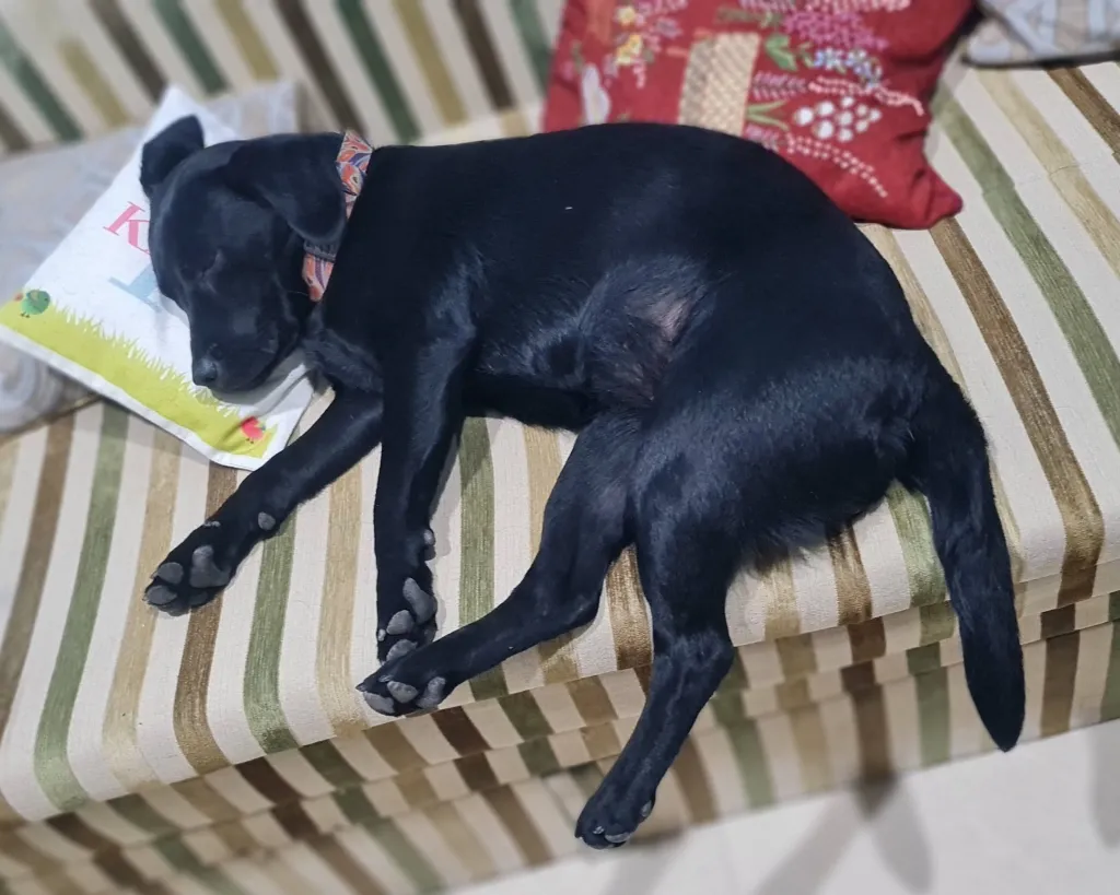 image_Deepak Sukhadia