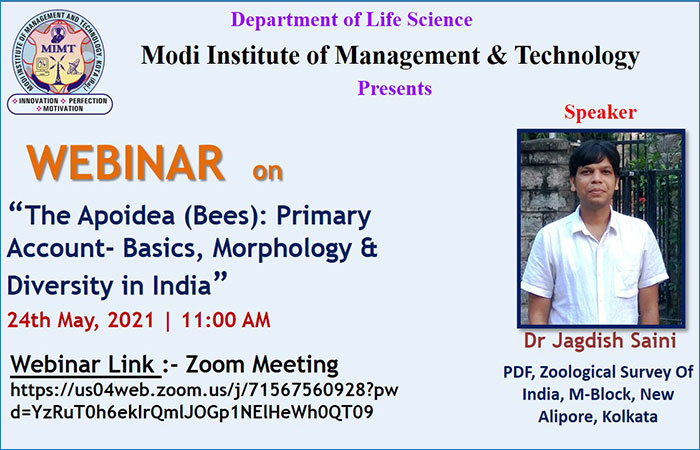 Image_Modi Institute of Management & Technology